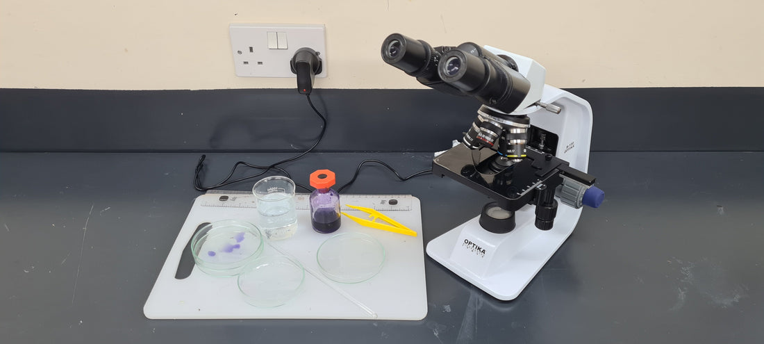 Optika compound microscope and petri dishes set up for a GCSE Biology practical skills session at Exam Centre Birmingham